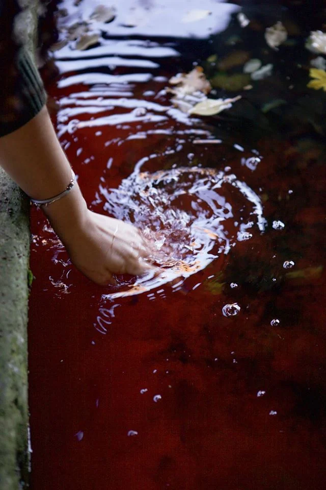 Washing of hands dyes the lavour beautiful red.