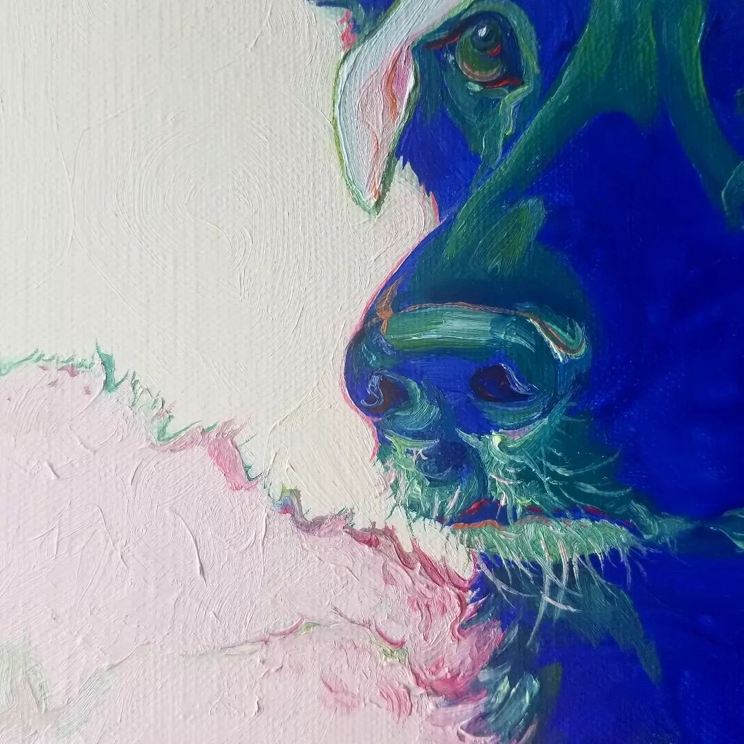 Stare deep! Detail of more to come in a new publication on the wonders of TEXTURE by @abstractpicnic 

#fuzzy #fluffy #furry #intenseeyes #eyes #bluedog #whiskers #gsd #dogpainting #petpainting #blue #green #pastel #art #artist #artistoninstagram #ar