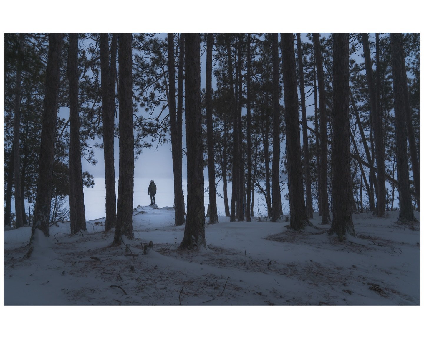 Looking out to the frozen Bear Island Lake in icy blue blizzard conditions&hellip; couldn&rsquo;t ask for more on a winters day in The Northwoods. 
.
.
.
.
#wintermood #winterscape #winterwoods #northwoods #winterforest #winterphotography #forestcapt
