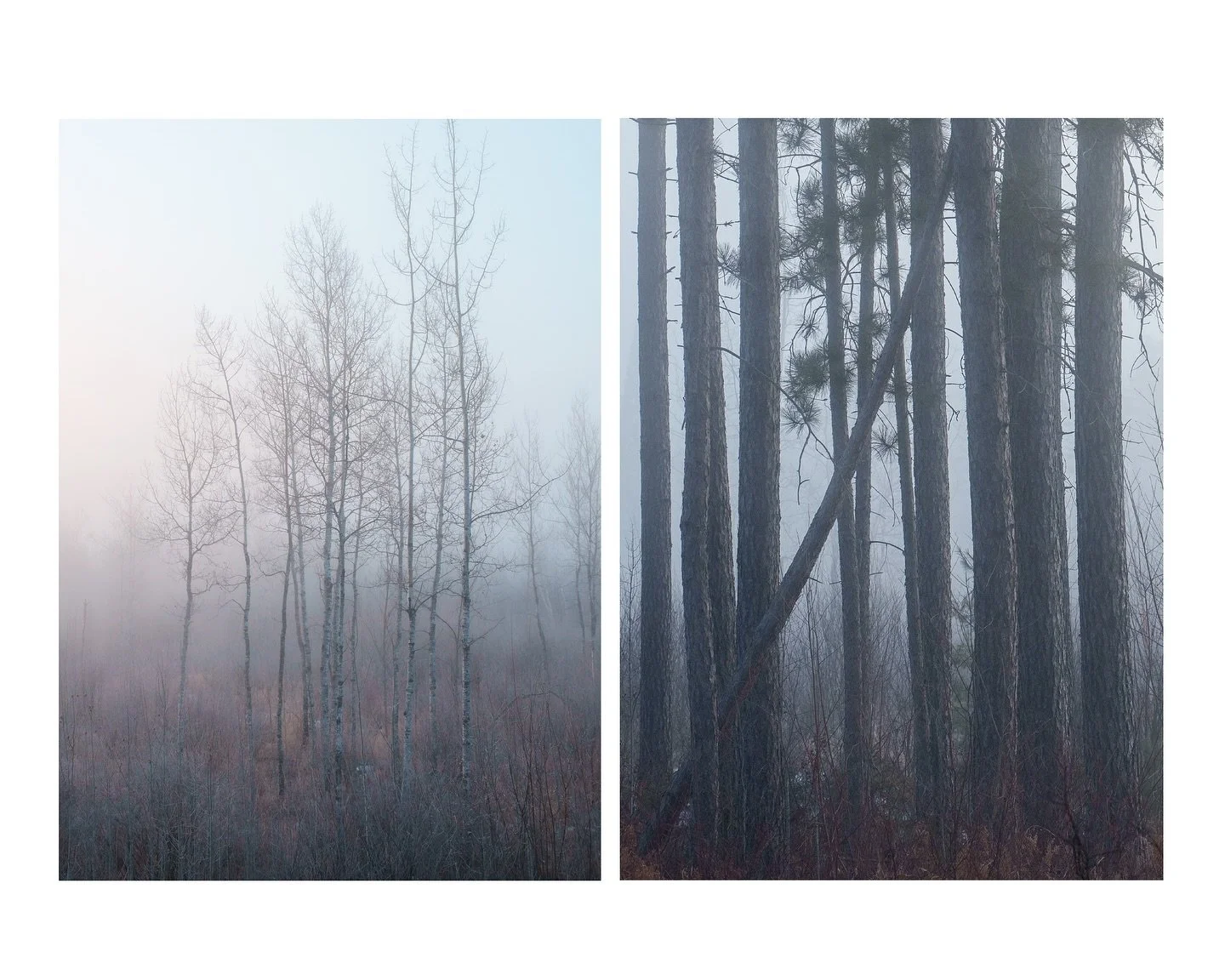 A few foggy images from the early Spring in South Dakota and Northern Minnesota&hellip;

The fog can be so beautiful. Except when monsters come out of it, or a guy wielding a machete in a hockey mask&hellip; Thats when the fog is indeed, not so prett