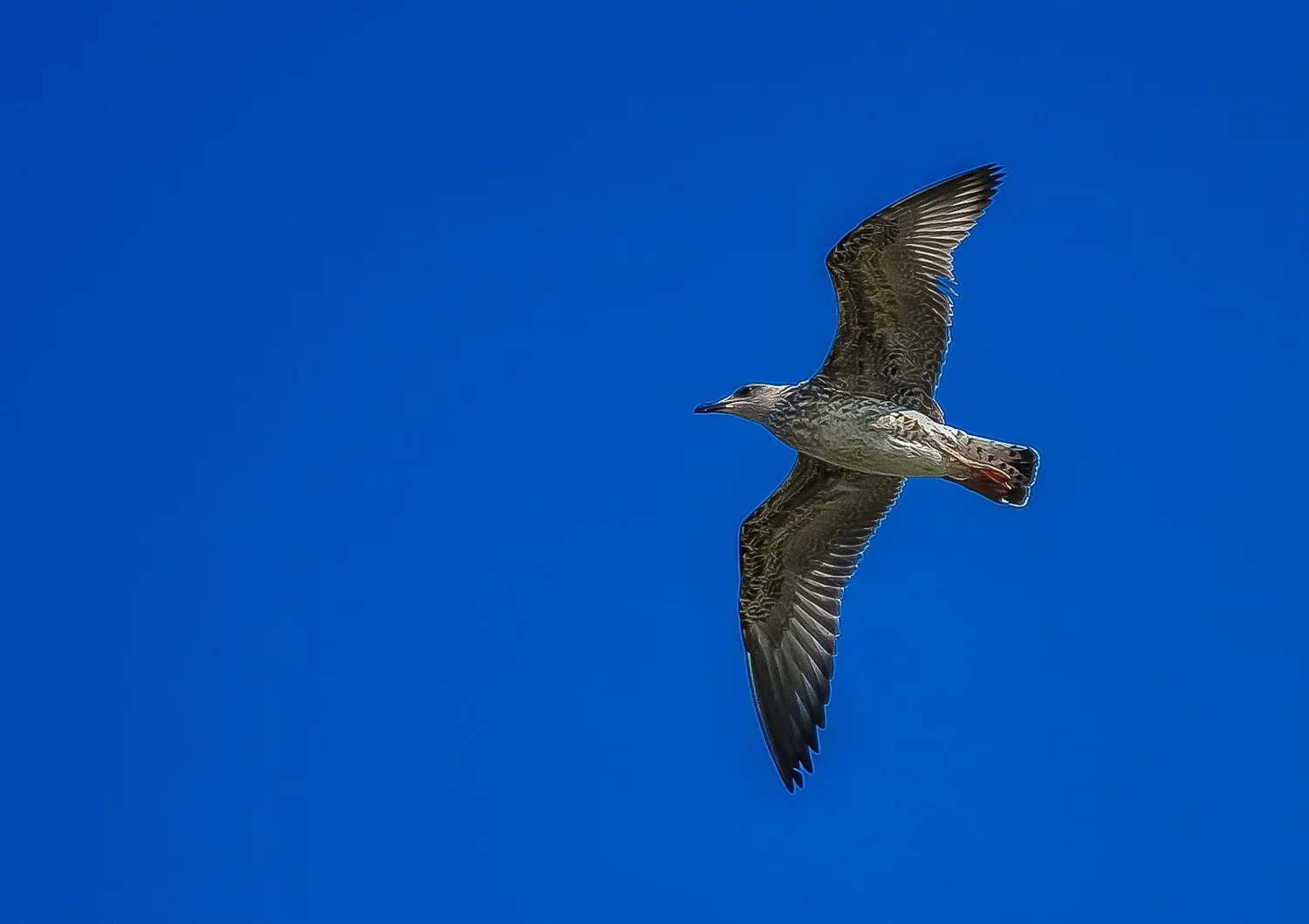 Giving Yourself Space Giving Yourself Space