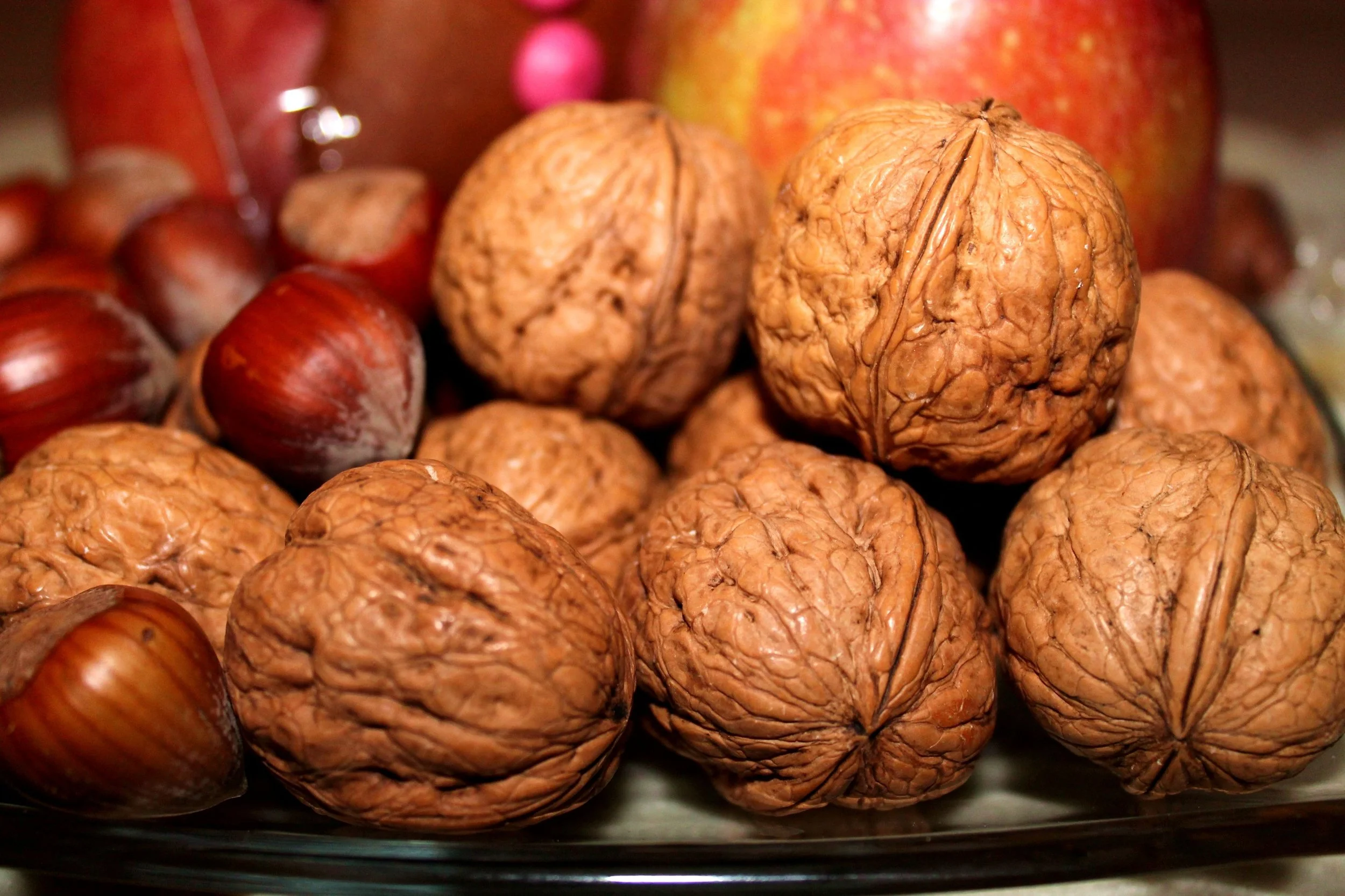 walnuts-558488.jpg