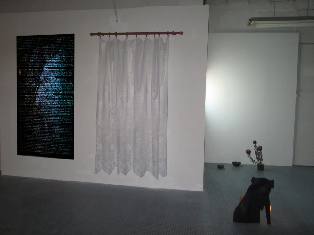 The Light and the Heavy, 2016, Installation view at D'Clinic Studios, Zalaegerszeg, Hungary1. The boar who became a deer interactive mapping video on digital print.2. Resistance lace curtain and curtain rod3. (Front) He…