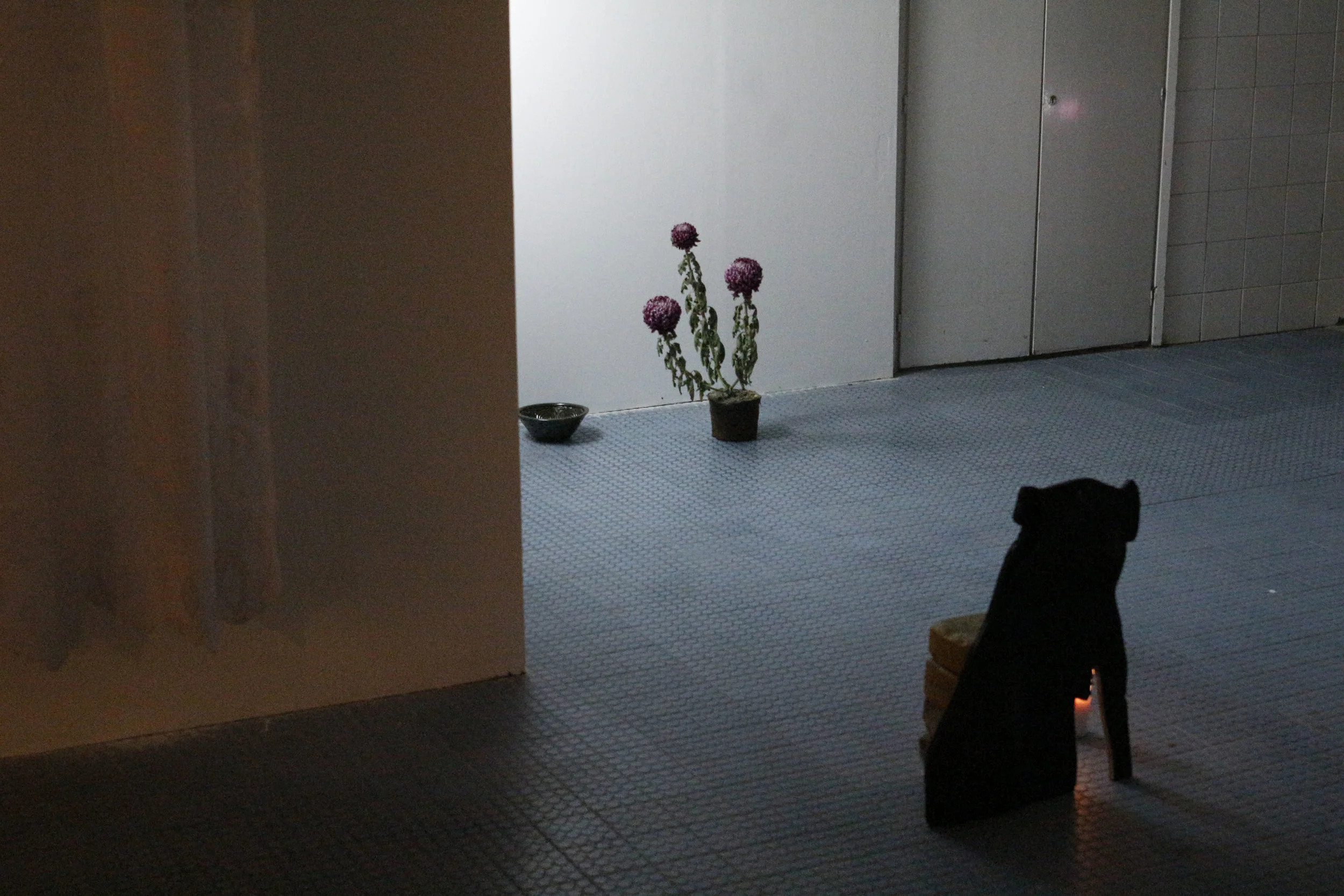 The Light and the Heavy , 2016, Installation detail.