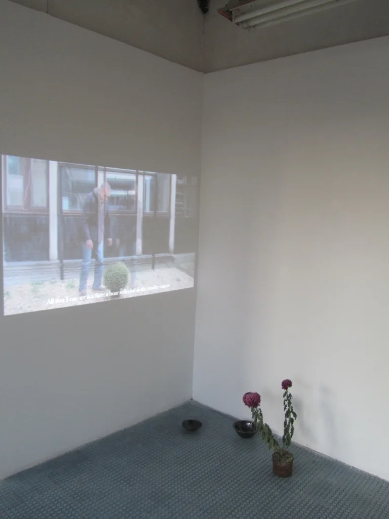 The Light and the Heavy, 2016, Installation detail,1. Installation view of The Light and the Heavy video 4:42 mins2. Untitled  cermic bowls made at Gébárti Kézművesek Háza during the Saturday morning pottery workshop, Chrysanthem…