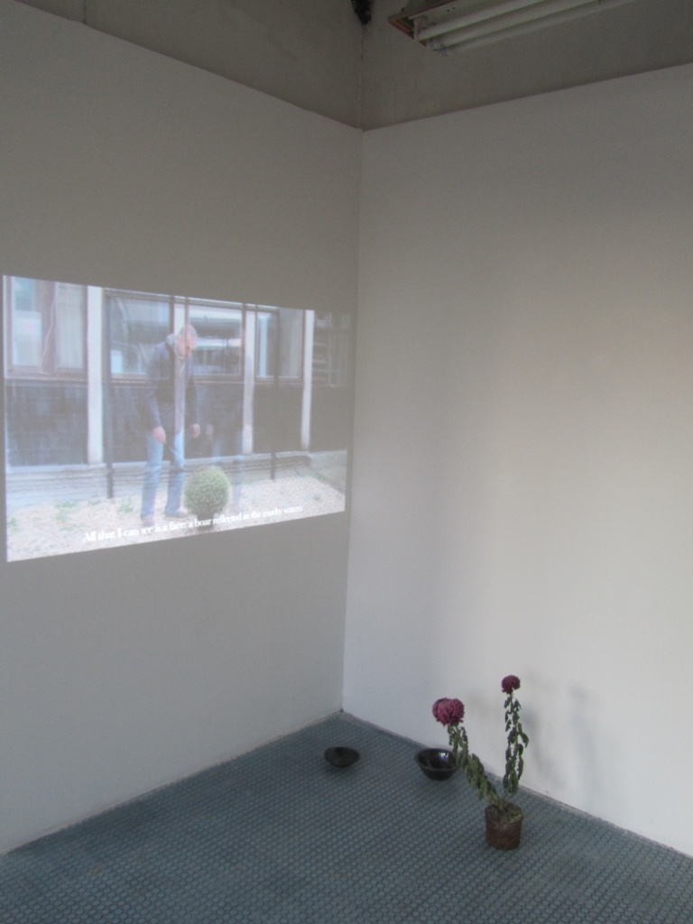 The Light and the Heavy , 2016, Installation detail, 1. Installation view of The Light and the Heavy video 4:42 mins 2. Untitled cermic bowls made at Gébárti Kézművesek Háza during the Saturday morning pottery workshop, Chrysanthemum ‘Regal Mist Purple’ bought at the Zalaegerszeg farmers market on the 30th of October 2016