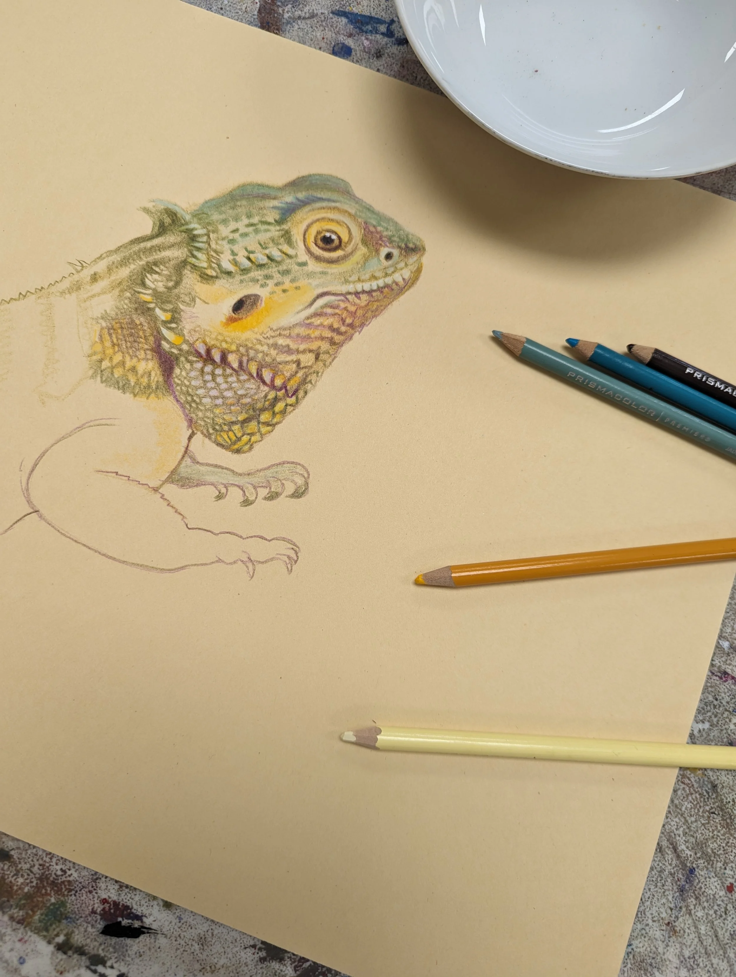 Drawing & Painting Studio — The Craft Guild