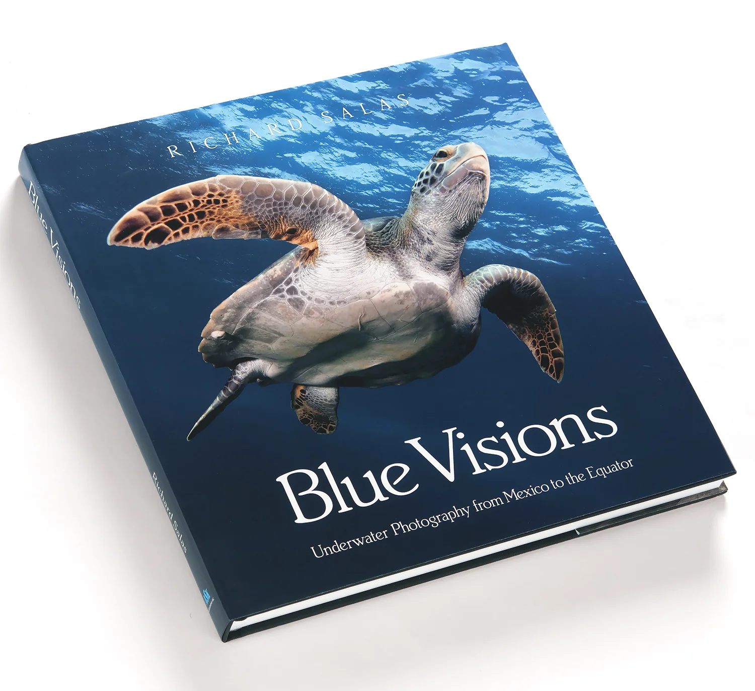 Blue Visions book Cover.jpg