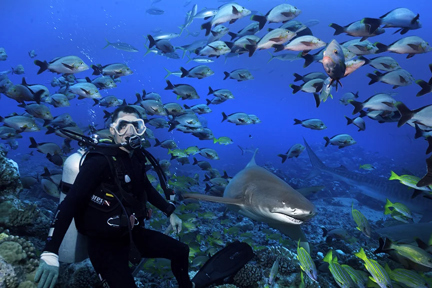 Phil and shark.jpg