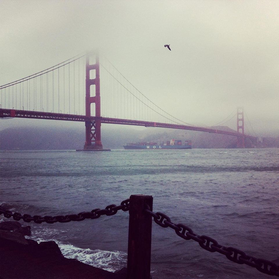 1908011_10152385149588808_5779013218786653779_n.jpg