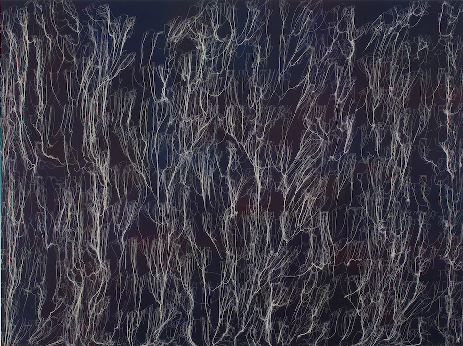 Ghada Amer The Big Black Kansas City Painting , 2006 acrylic and embroidery on canvas 9 x 12 feet