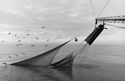 Jack Leigh Nets and Doors , 1986 silver gelatin print