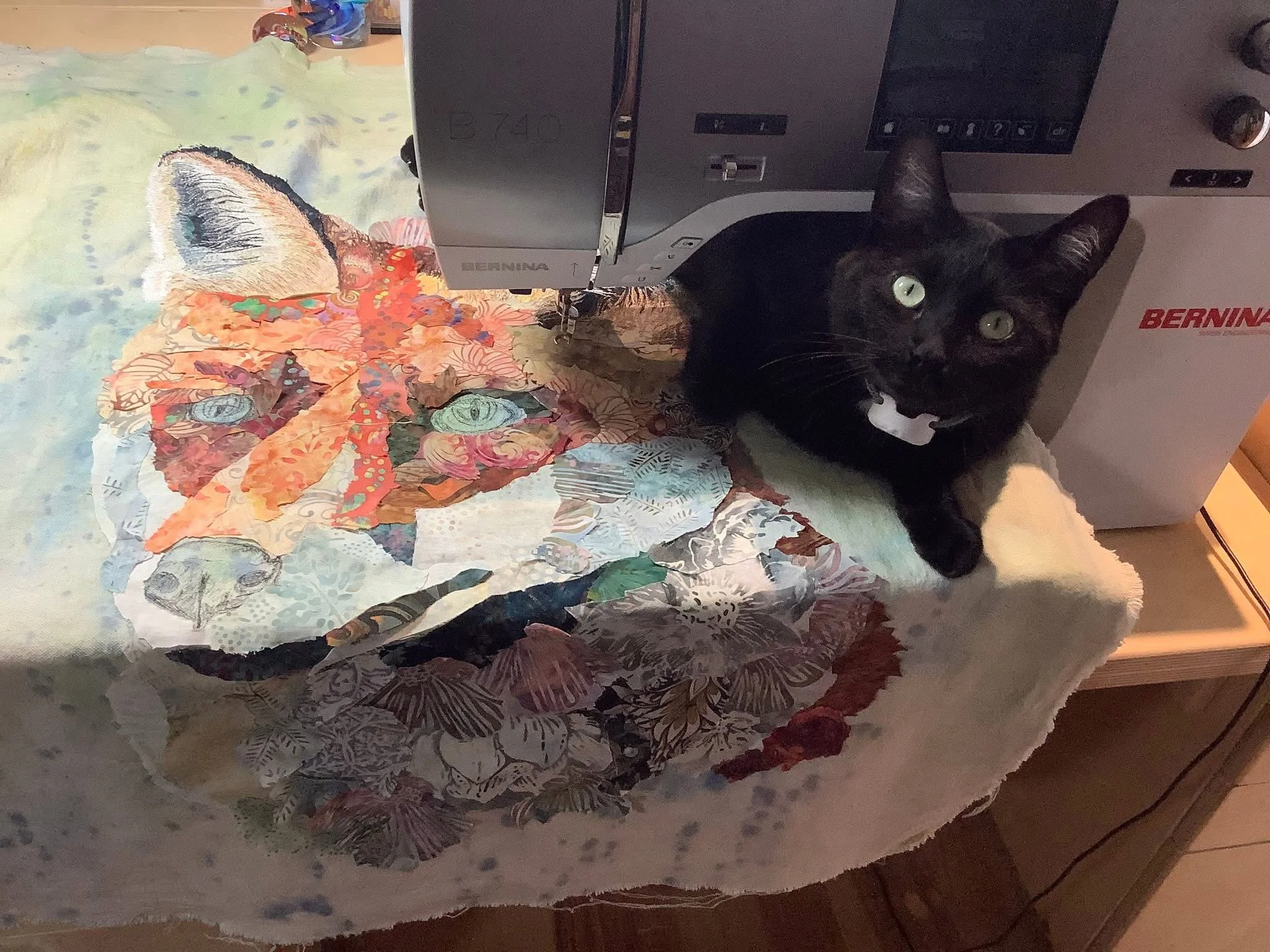 IMG_0089.jpeg