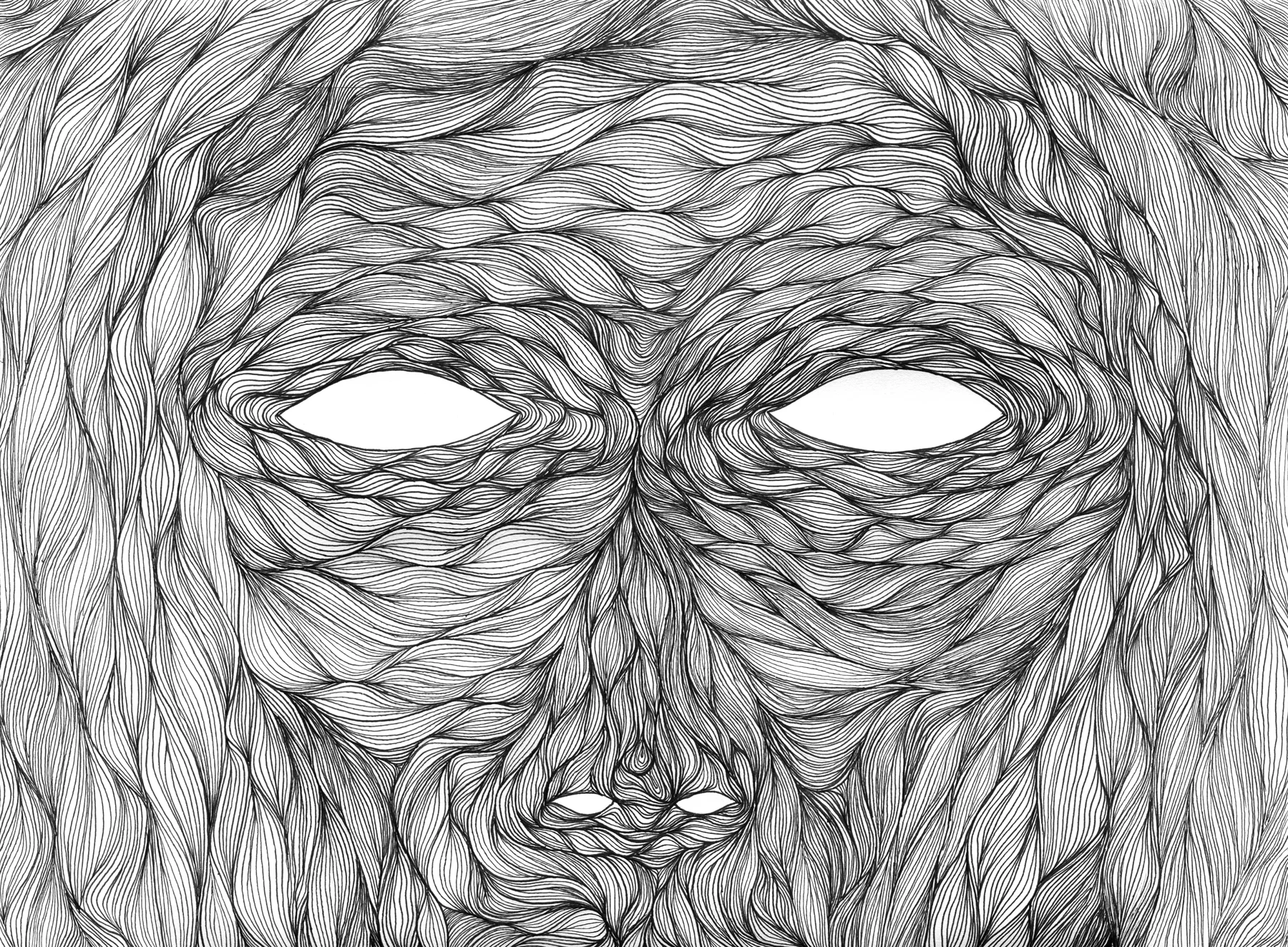 Veil