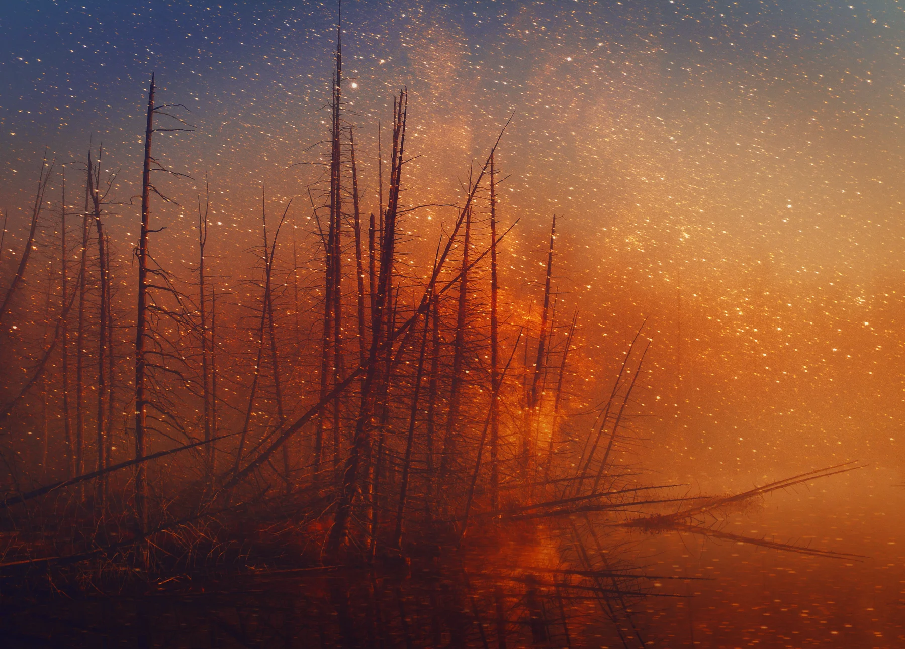 Infernal Swamp