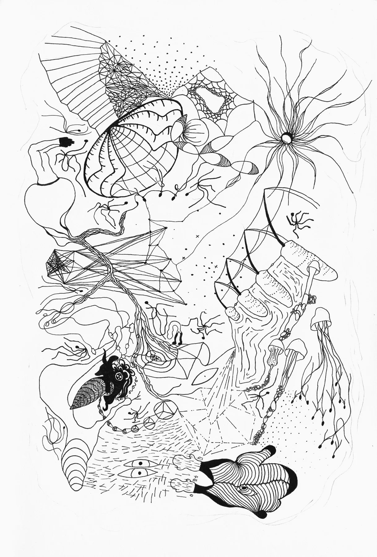 Fever Dream