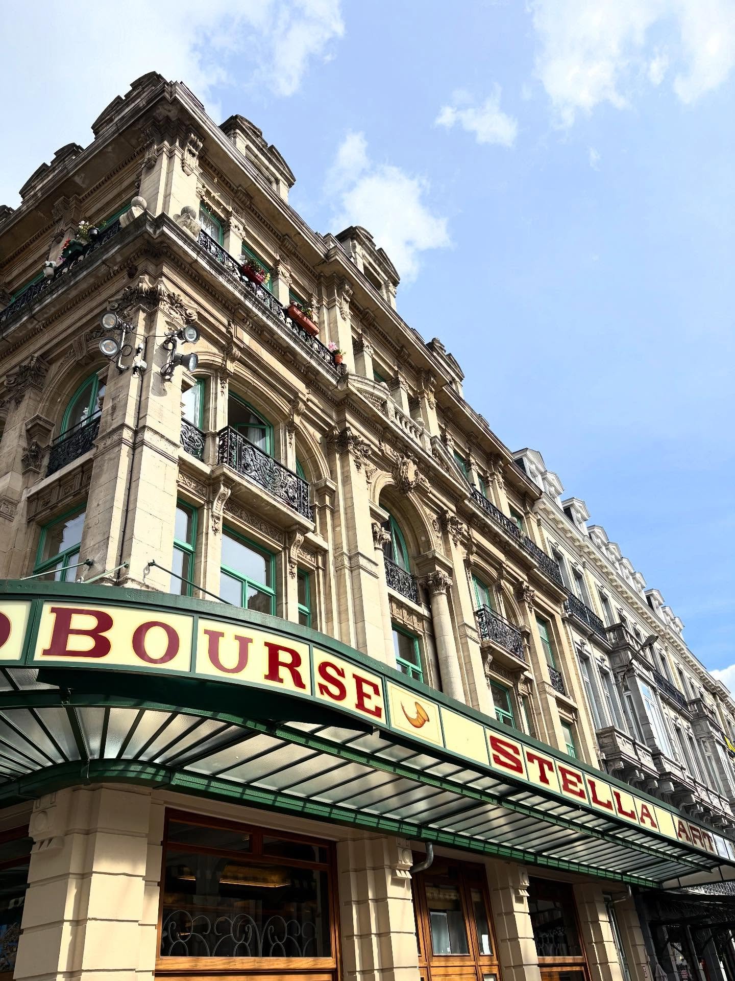 Brussels Type Safari