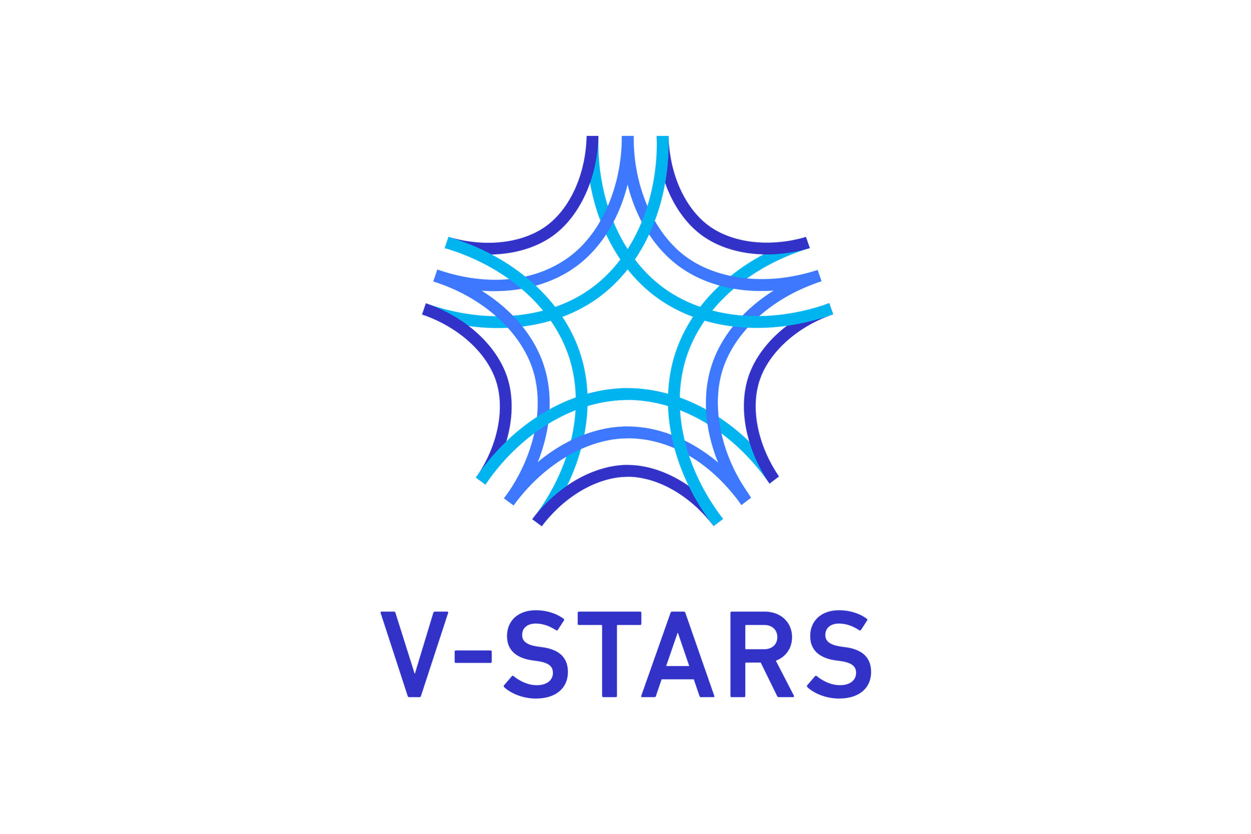 E_V Stars logo_V_color_RGB_P.jpg