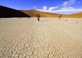 dead man's vlei 2.jpg