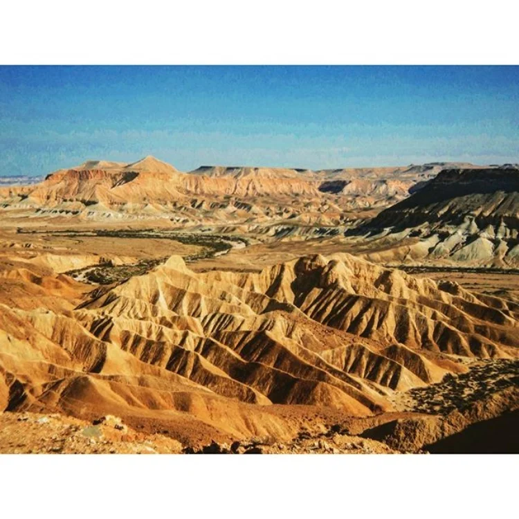 Negev View, Sde Boker
