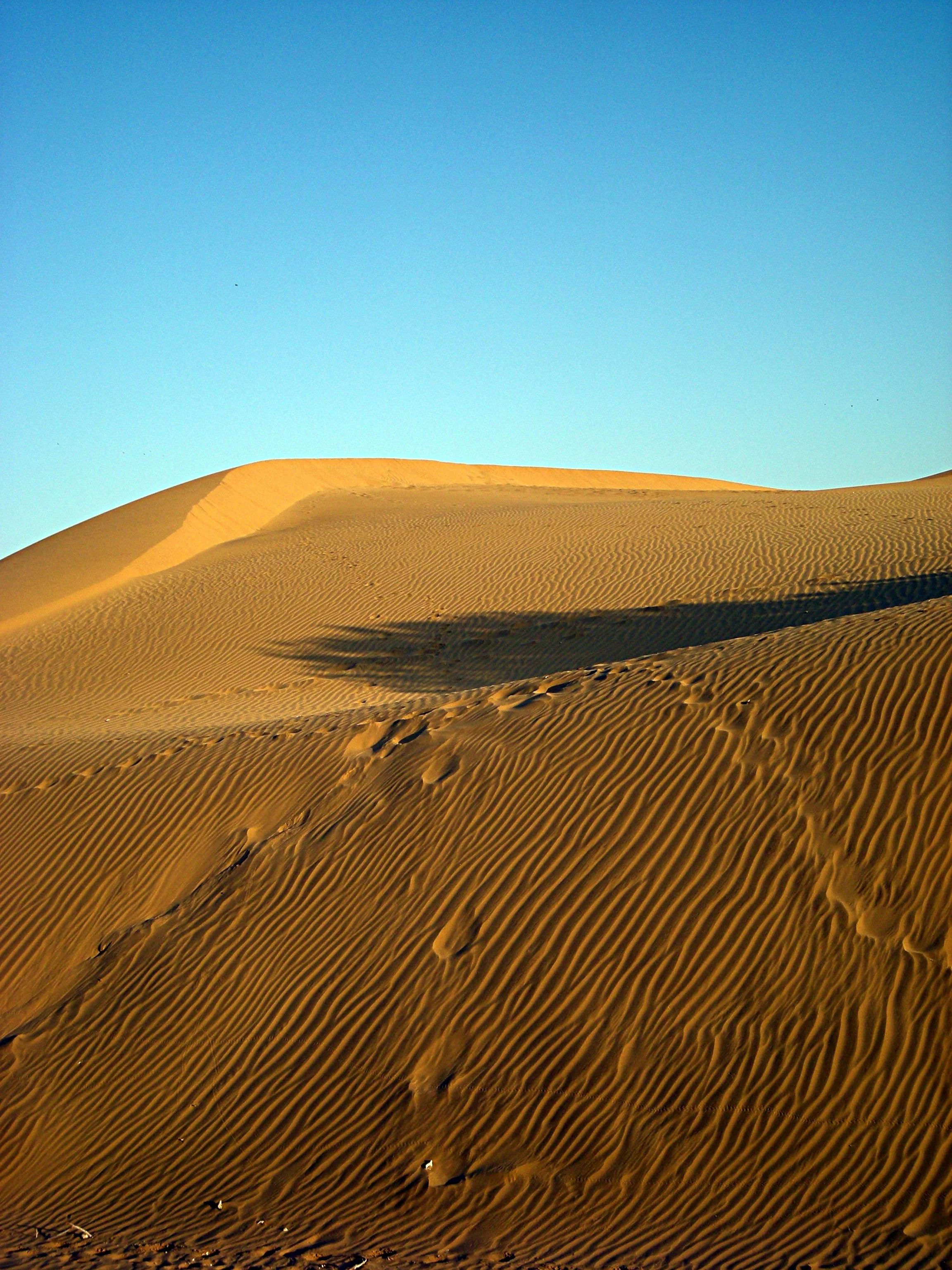 Thar Desert, Rajasthan