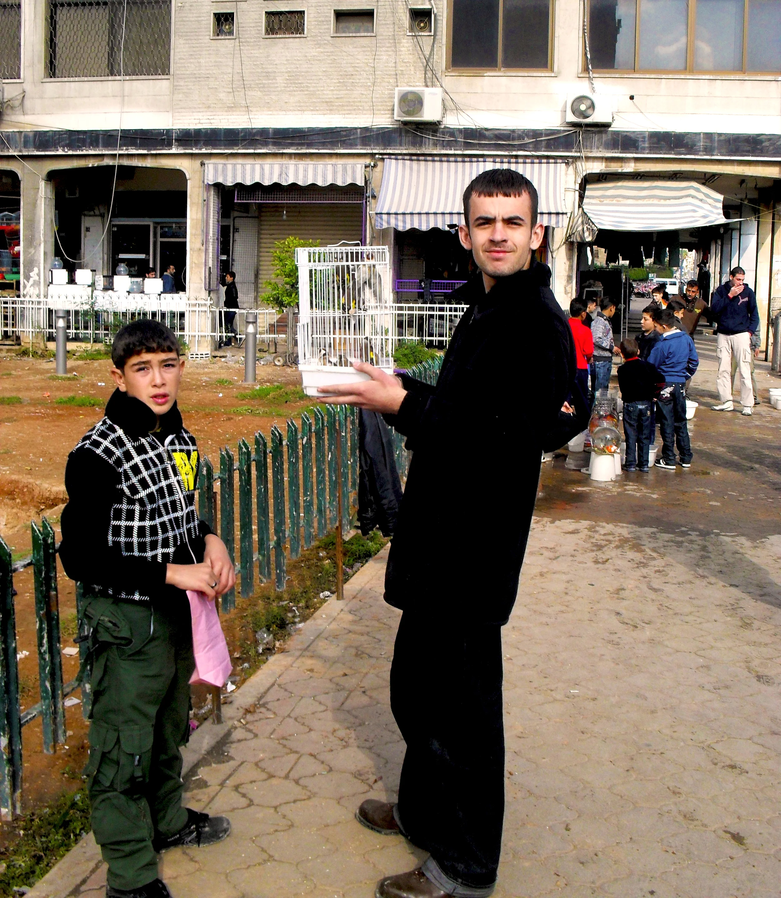 Bird sellers in Damascus, 2009