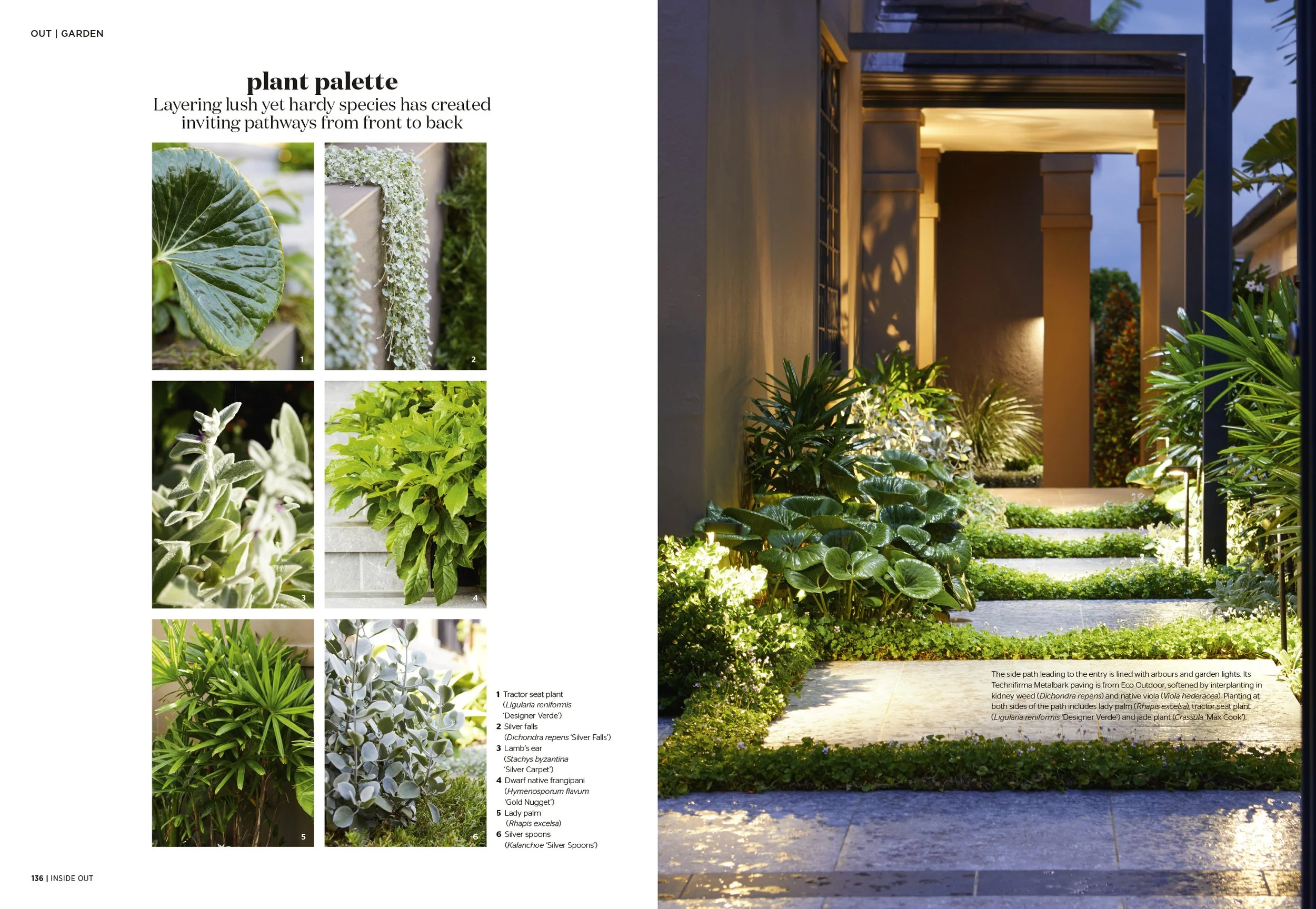 IO0324p136_137_GROWING ROOMS DOVER HEIGHTS_r1.0.jpg