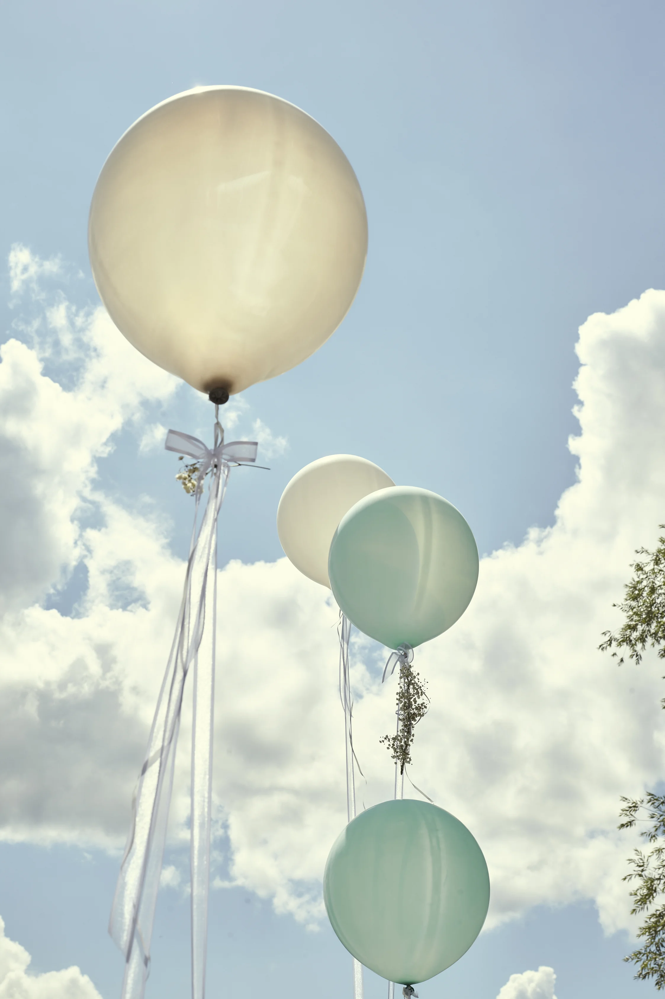 1707_HOLZER_275.jpg