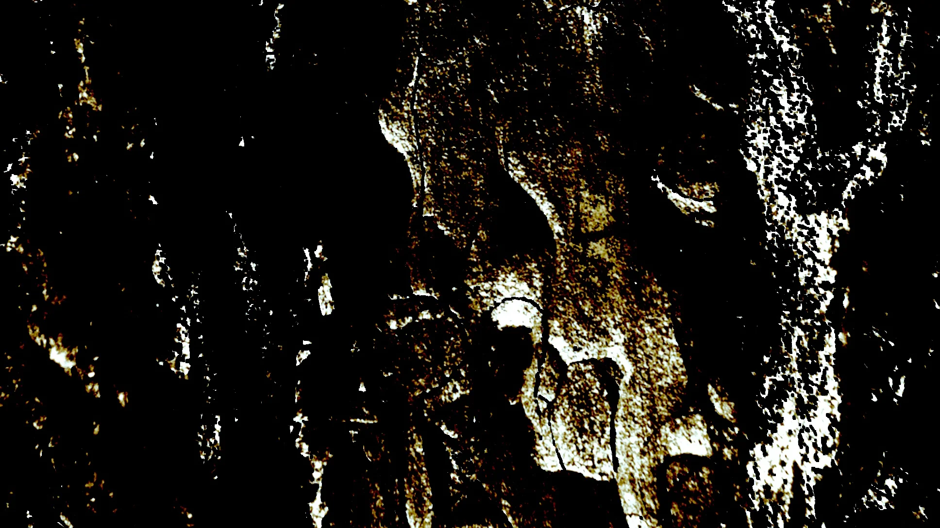jondelius-a-good-place-to-hide.jpg