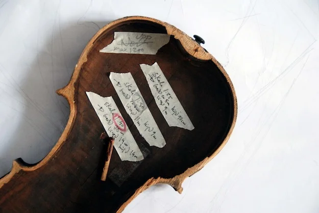 Kaffe Matthews and George Kentros: Vitula Physicata (2012).