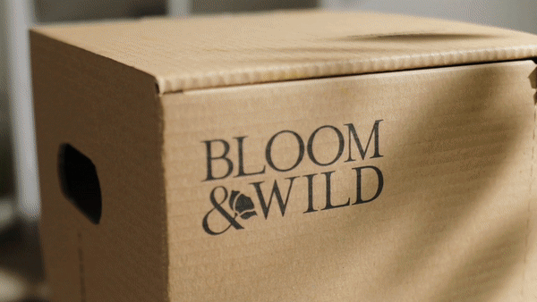 unbox gif.gif