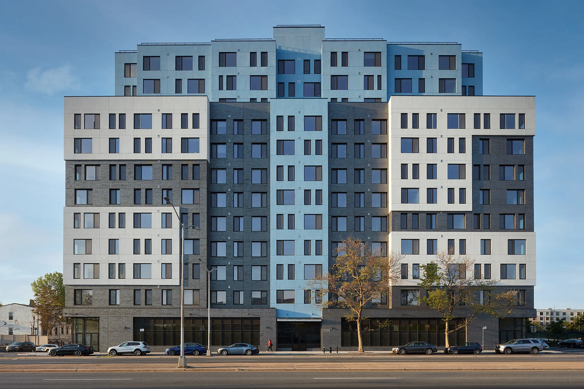 2858_Linden.jpg