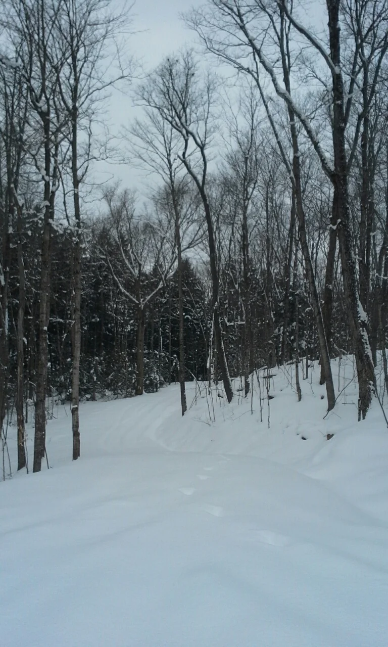 This could be the path Caleb snowshoed on his way home from work Christmas Eve.