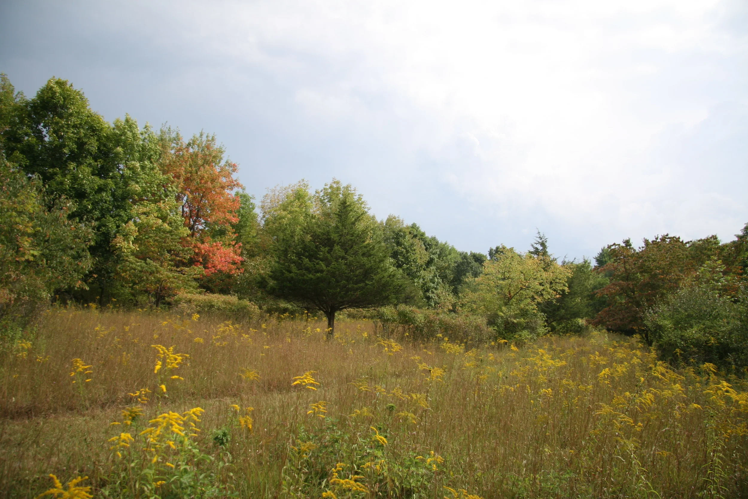 LWLA_Salt Point NY.JPG