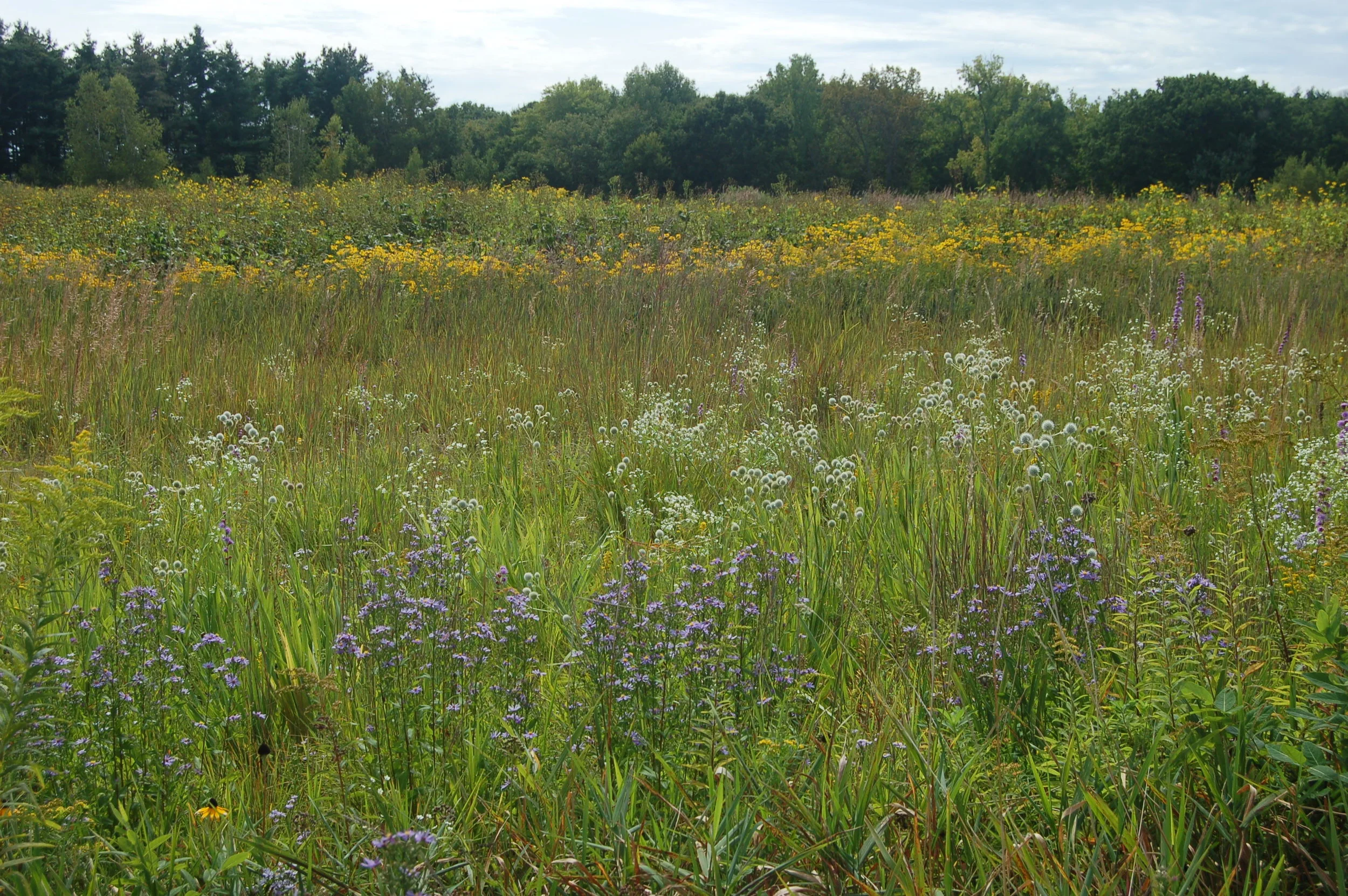 LWLA_Sharon CT 01.JPG