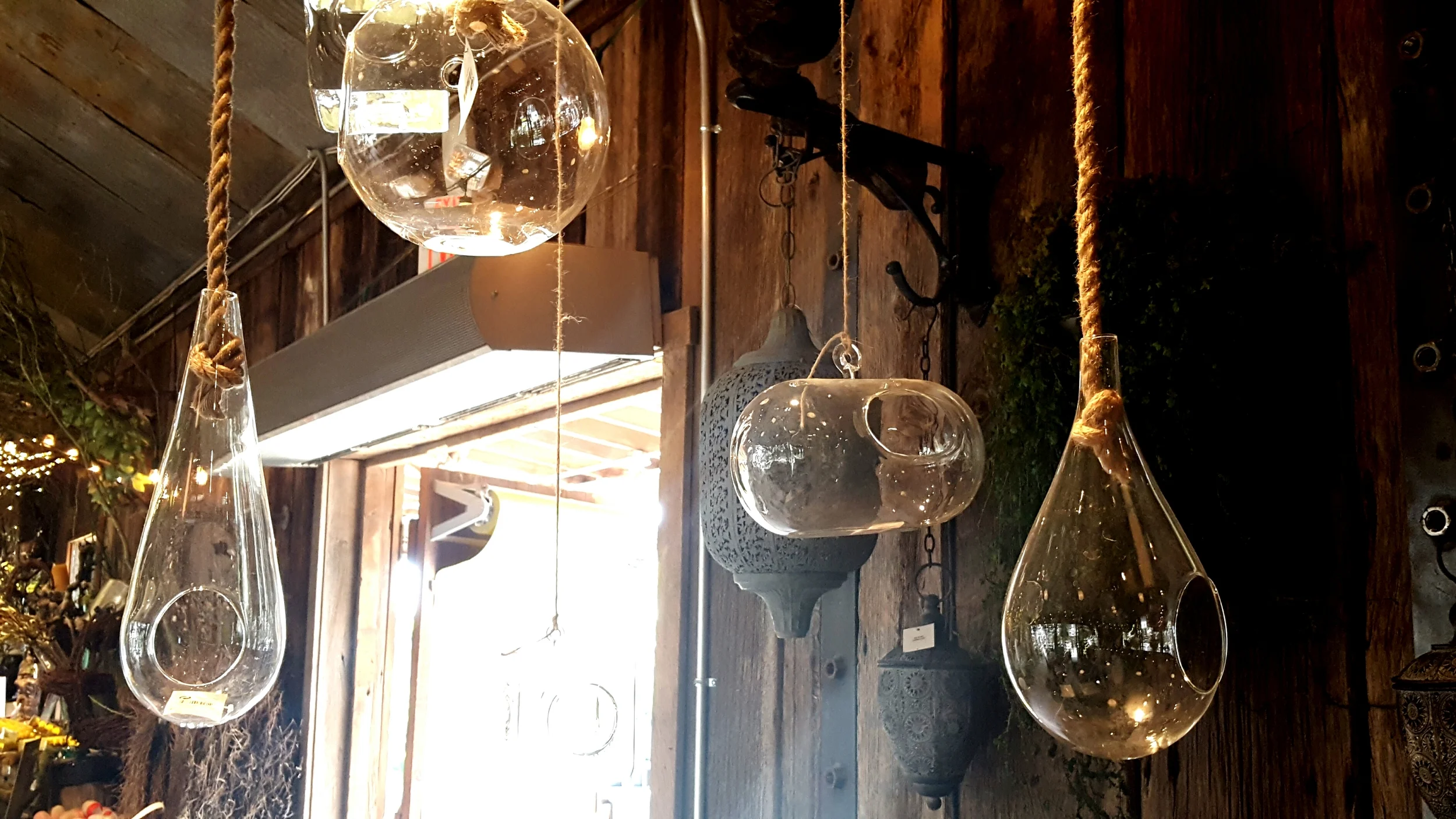 Building terrariums is just one of Charlene's gardening hobbies. This would look great suspended from the ceiling with rope, ribbon, or chains for a more industrial feel.