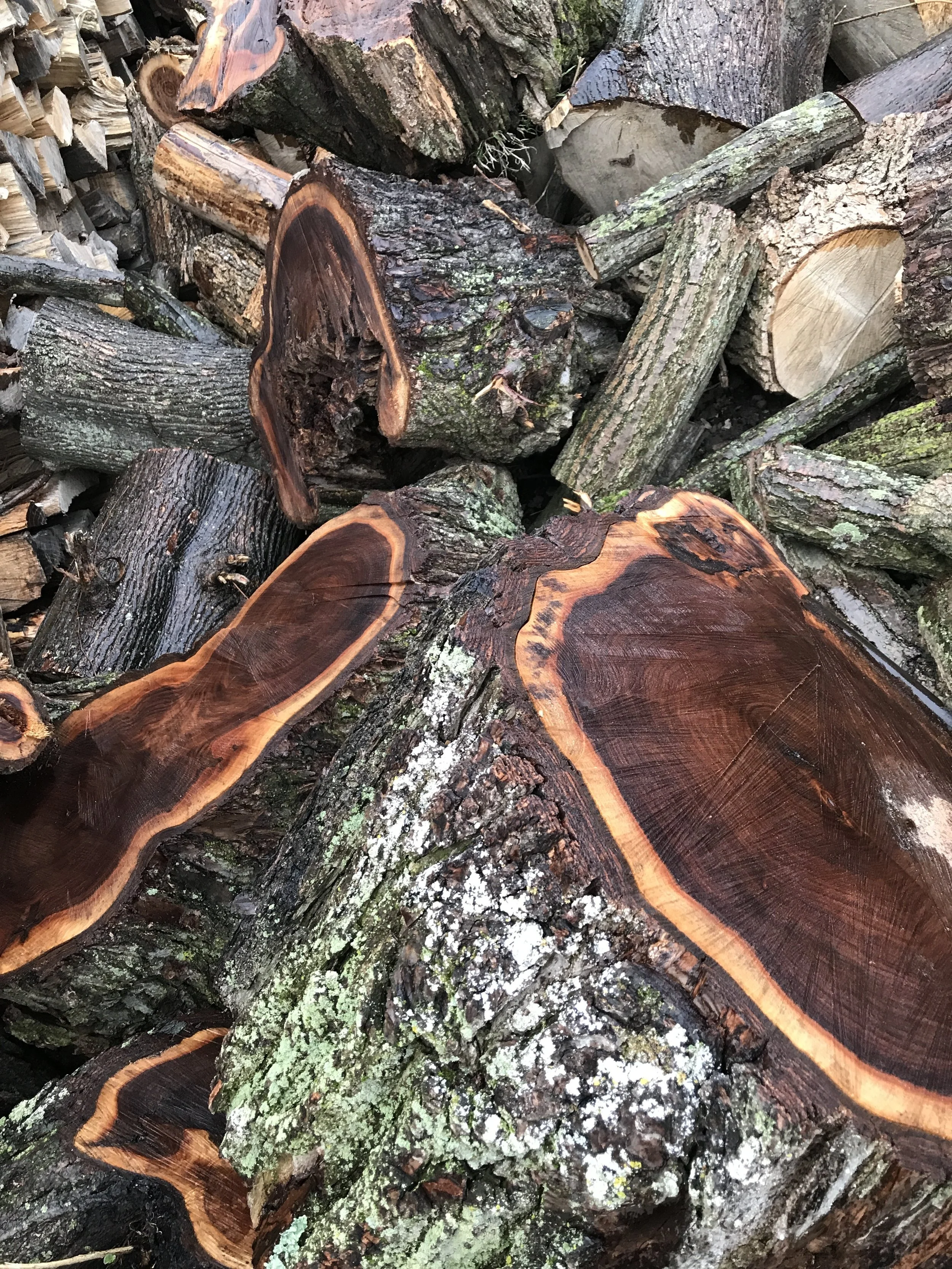 The black walnut that is currently being turned into cheese boards.