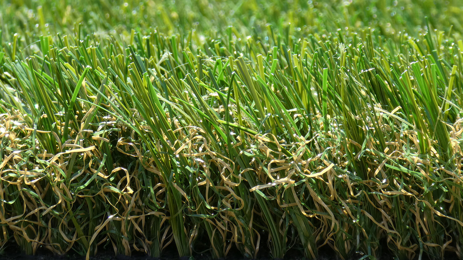 Namgrass