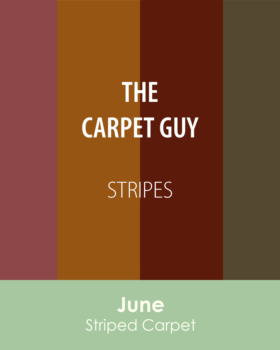 Carpet Guy Video