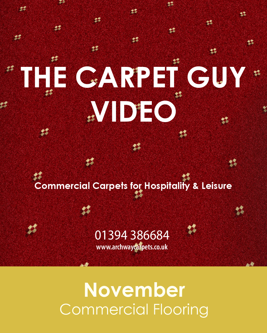 Carpet Guy Video