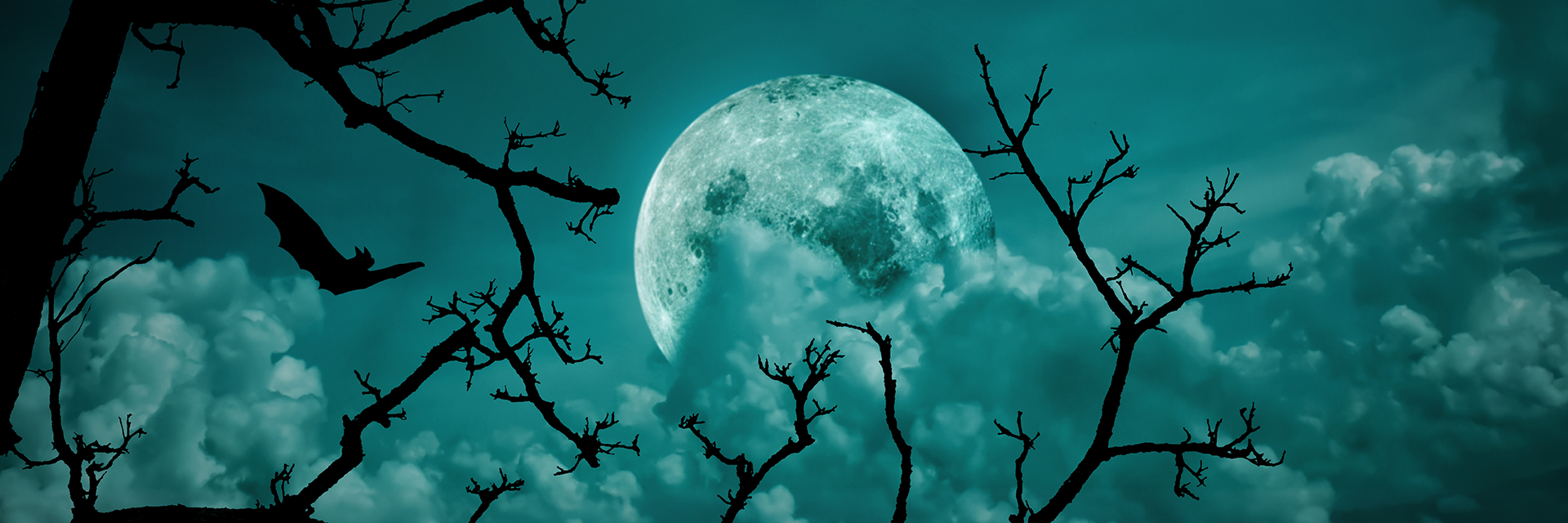 Ghoulishly Luxurious Carpets