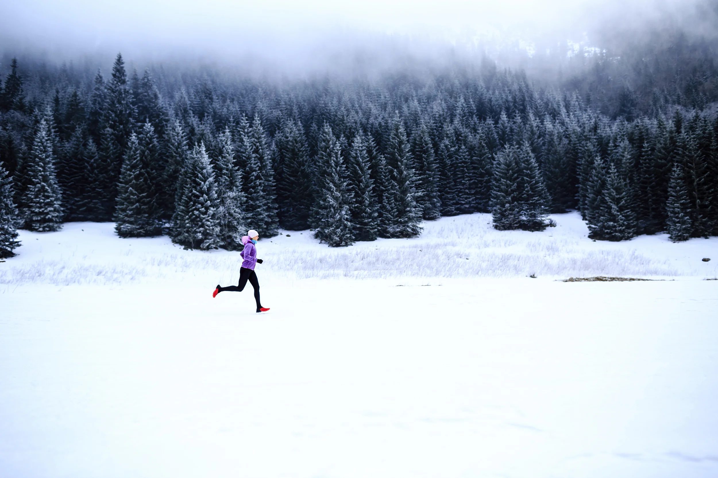 iStock_000071480803_Large.jpg