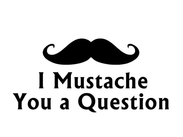 i_mustache_you_a_question2.jpg