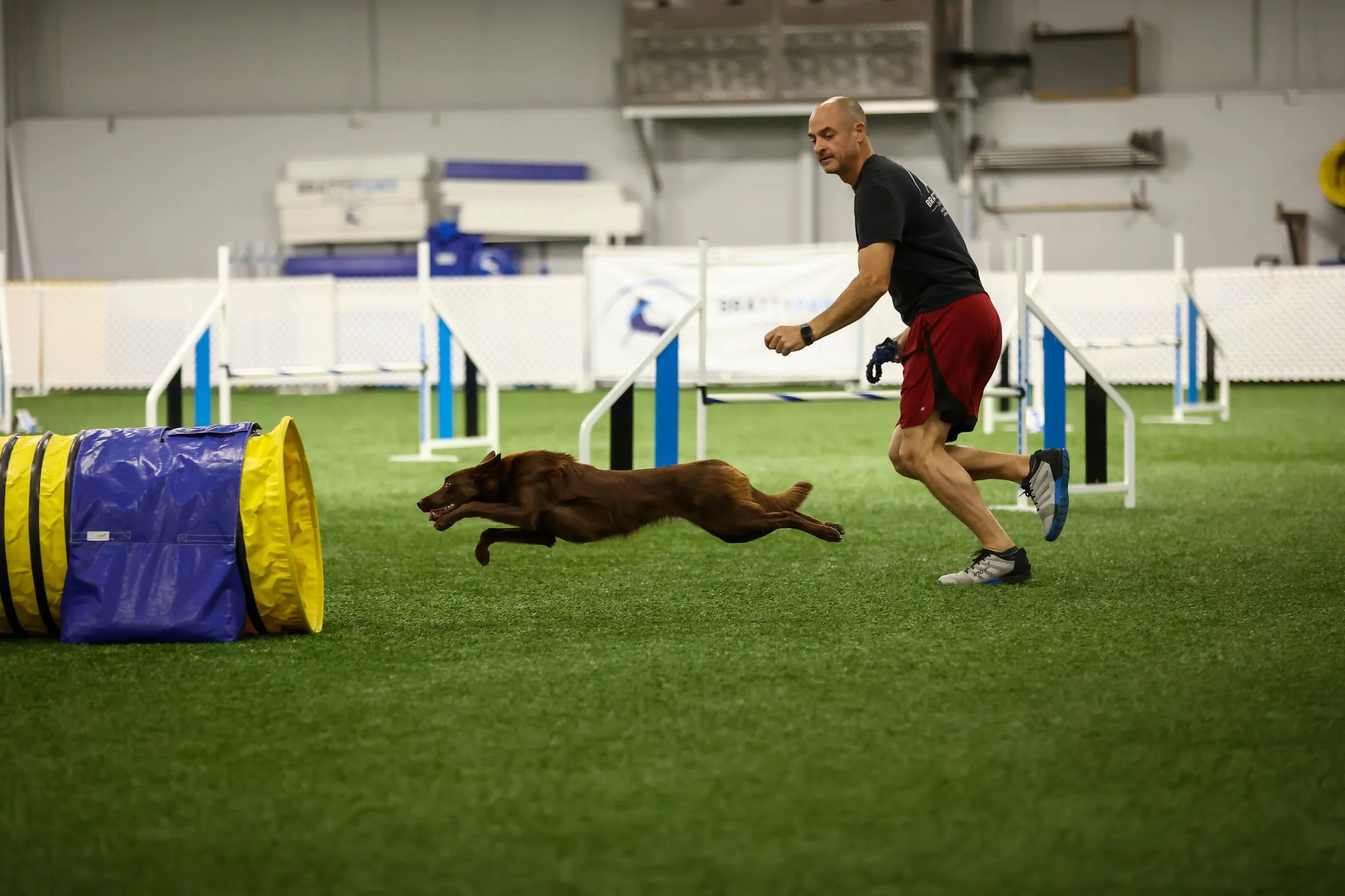 Chris Tucci Agility Workshops