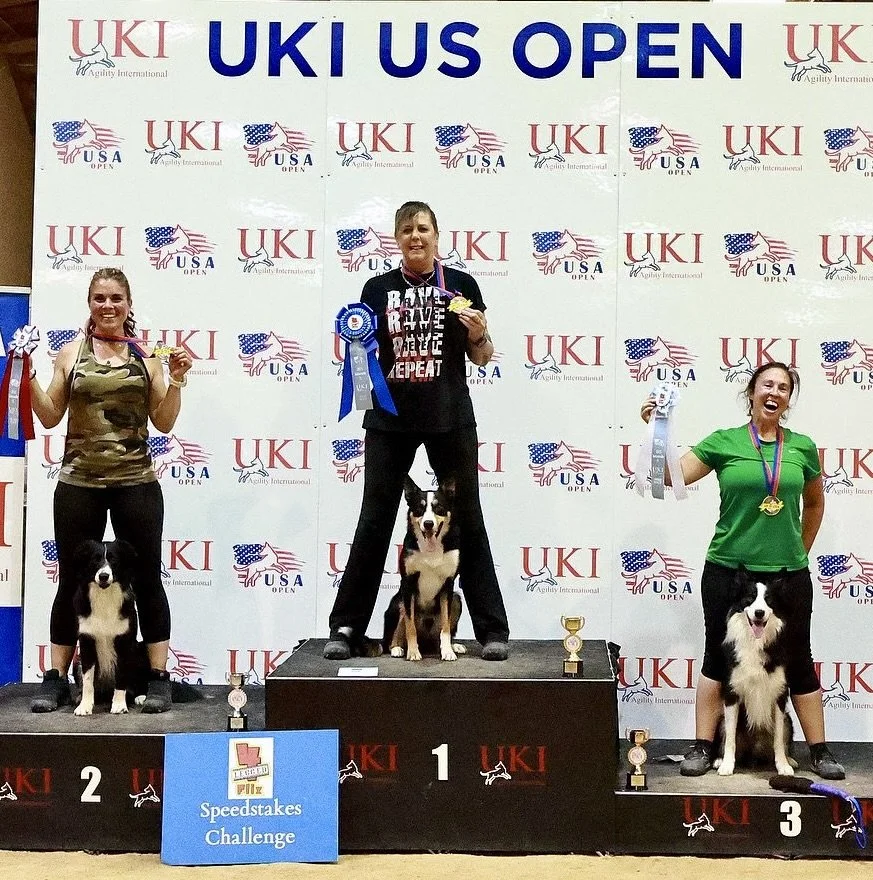 Chris Ott Agility Workshops