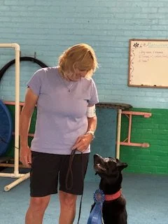 CANINE CONDITIONING: with KATHY LESINSKI M.S., C.C.F.T.