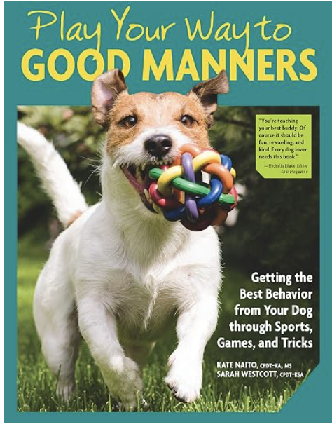 Kate Naito &amp; Sarah Westcott - Play Your Way to Good Manners