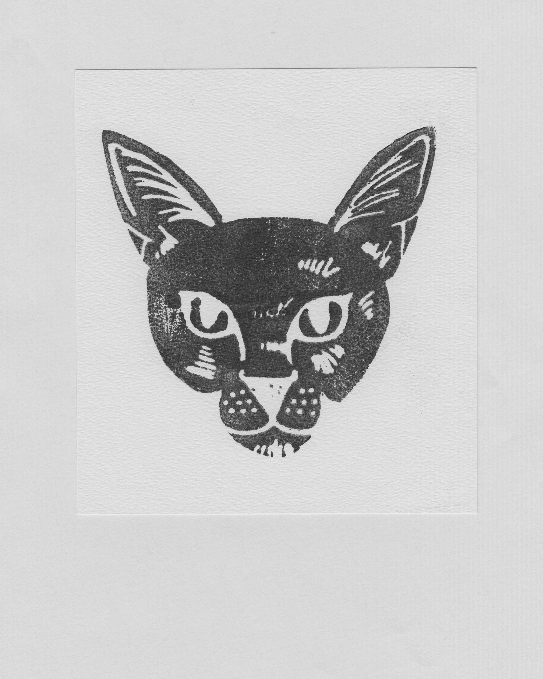 black cat coffee proof, circa 2013-2015, dawn ayer