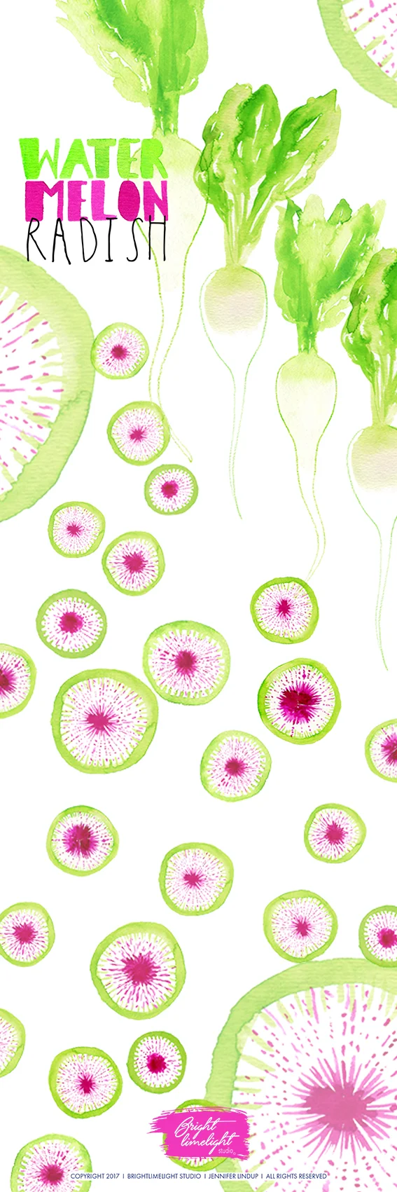Watermelon radishes are rad!