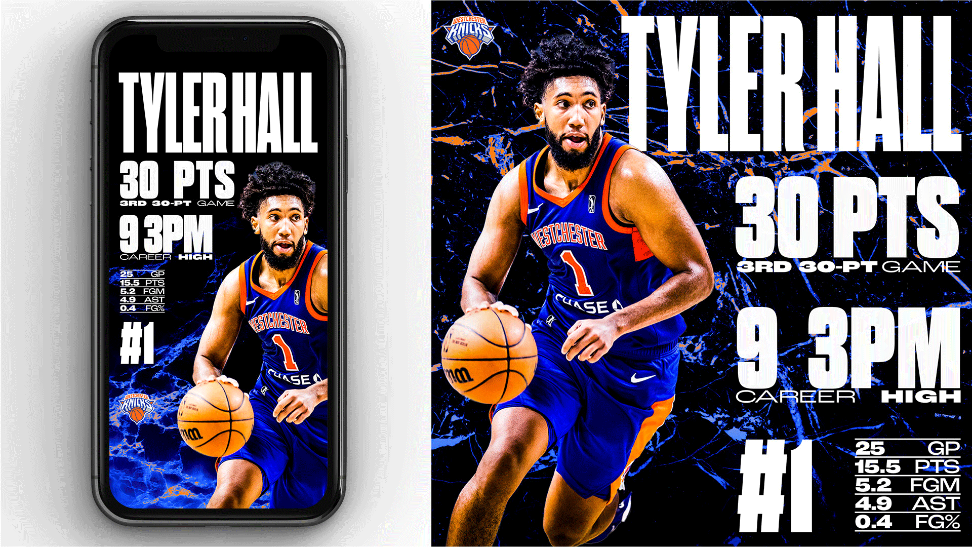wck-KNICKS-STYLE-GUIDE---Artboard-11.png